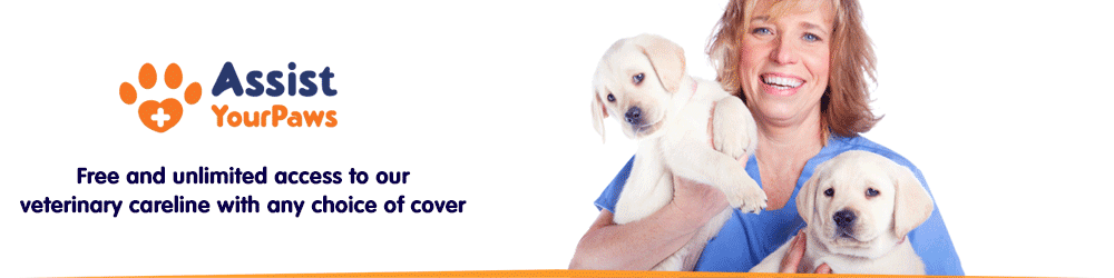 Free and unlimited access to our veterinary careline with any choice of cover