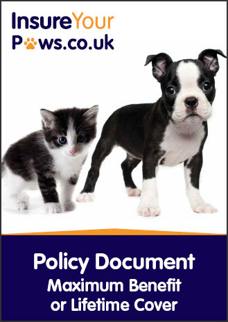 Policy Document